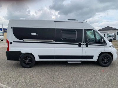 Laika Ecovip 600 - Photo 2