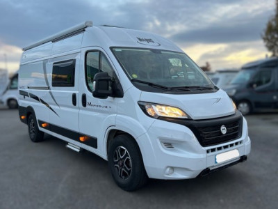 Mc Louis Menfys Van 4 S-Line Occasion