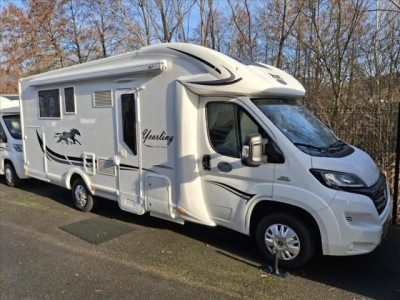 Mc Louis Yearling 79 YEARLING79 Occasion