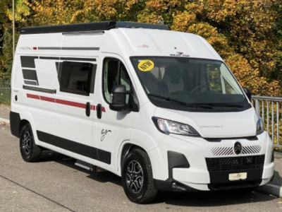 Roller Team Livingstone 2 GO Neuf