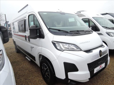 Roller Team Livingstone 2 Neuf