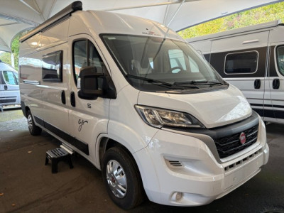 Roller Team Livingstone 5 GO Neuf