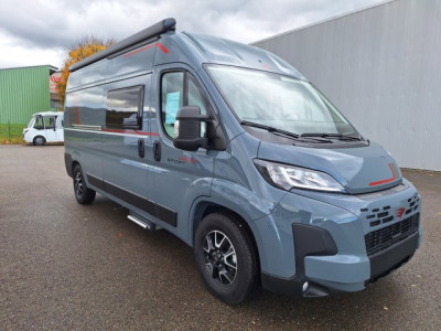 Roller Team Livingstone 5 Sport Neuf